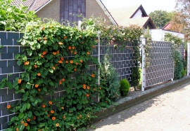 Sichtschutzelemente für Ihre Privatsphäre